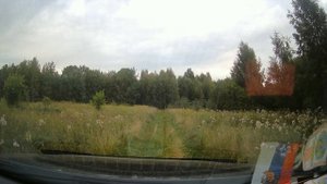 Едем в лес по бездорожью.
