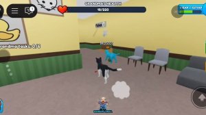 Унижтажаем бабусю вместе с другом за кота в рб! (я тоже был бабусей)