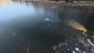 НАЧАЛО ЗИМНЕГО СЕЗОНА РАДУЕТ, ЩУКА НА ЖЕРЛИЦЫ. ОКУНЬ НА МОРМЫШКУ