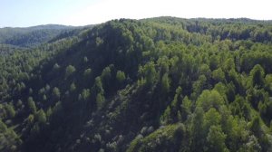 Темирский отшельник