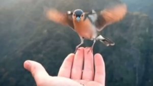 Вернись, мне нужен ты!