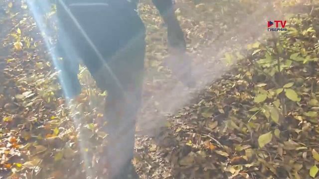 Губернские новости 28.10.2025 смотреть онлайн