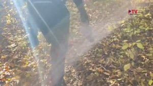 Губернские новости 28.10.2025