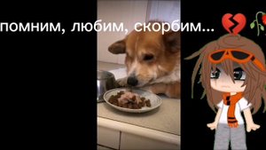 это не плановое видео, но очень важное, посмотрите пожалуйста