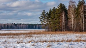Артём Гельман - Возвращение