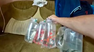 Отправил рыбку и другое