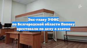 Экс-главу УФНС по Белгородской области Попову арестовали по делу о взятке