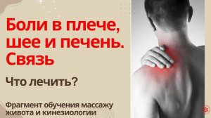 Боли в плече, шее и печень.  Связь. Что лечить? Фрагмент обучения кинезиологии и массажу живота.