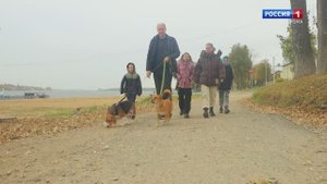 Видеопрограмма благотворительного проекта "Хочу домой". Семья Проворовых