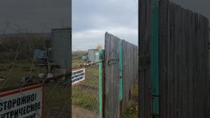 Очередные выходные на заготовке дров!