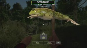 РР4 Комариное. Лягушка.