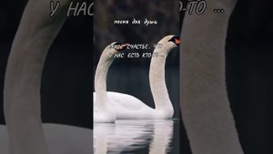 КАКОЕ СЧАСТЬЕ, ЧТО У НАС ЕСТЬ КТО- ТО...