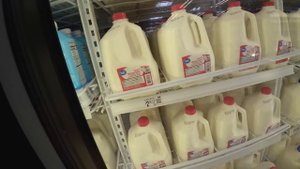 Дальнобой в США на степдеке с пчёлами — пчеловоз в рейсе