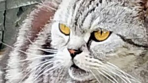 Скрытая камера! Не тронь чужого! Зачем мама учит детей воровству? #кража