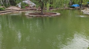 Искусственный пруд с островом в Подмосковье