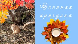 27-10-2025 Осенняя прогулка. Озеро "Святое".