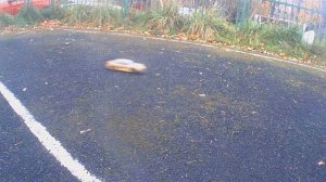 Последний арабский дрифт осенью (серия 4)