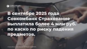 Дуб, клен, шифер и шишка – самые частые причины выплат по каско в сентябре за падение предметов