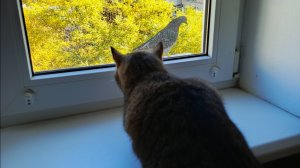 Кино в реальности