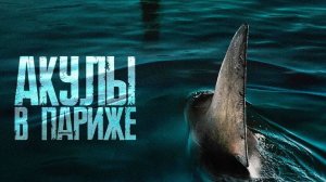 Акулы в Париже