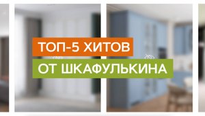 ТОП-5 хитов от "Шкафулькин"