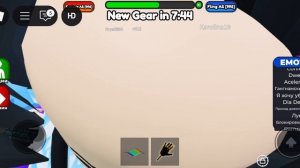 бр бр патапим