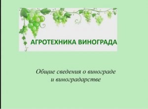 Агротехника винограда