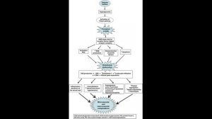 Гликированный гемоглобин и последующий риск микро- и макрососудистых осложнений