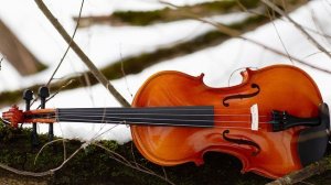 Современная классическая музыка на скрипке | Ecveezer - Tenderness and Love