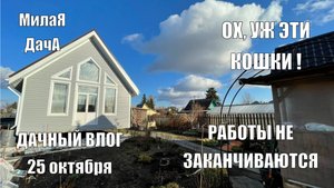 Сделали третий компостник | Коты портят имущество | Дачный влог 25 октября