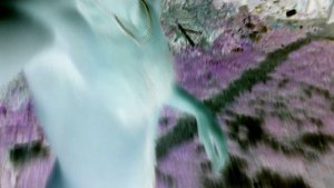 Батя     👲💤🏴☠️♈