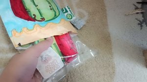 бокс с арбузом #арбуз#бокс