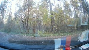 Поездка через лес в Красном Бору