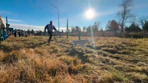 Четвероногие спортсмены покорили "Серебряное копытце"