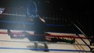 WwrestManyya 1Часть