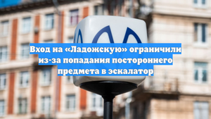 Вход на «Ладожскую» ограничили из-за попадания постороннего предмета в эскалатор