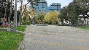 Опять работа. Жизнь продолжается. Санаторий "Голубая волна". Анапа.
