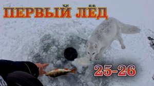 Первый лёд 25-26. Боремся с песцами за рыбу