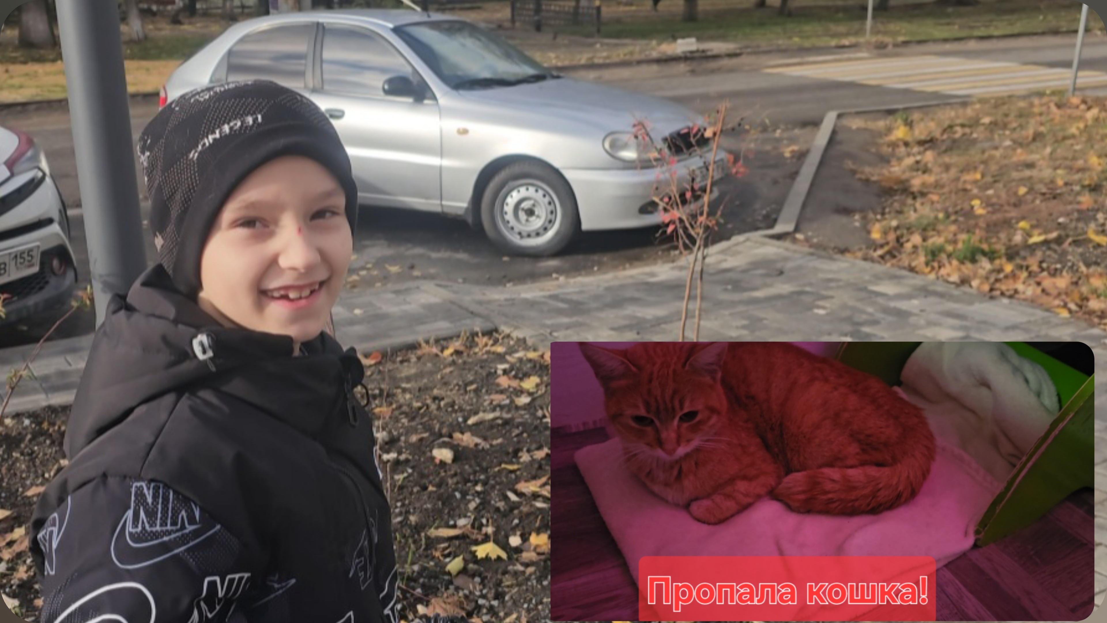 В школу во время каникул/Купили овощей на зиму/Кошка попала под машину😢28.10.2025