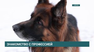 Воспитанники Эколого-Биологического центра Братска познакомились с собакой-полицейским