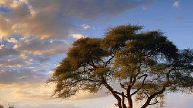 Барабаны Бурунди