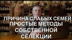 ПРИЧИНА СЛАБЫХ СЕМЕЙ. ПРОСТЫЕ МЕТОДЫ СОБСТВЕННОЙ СИЛЕКЦИИ