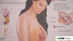 Врач - акушер-гинеколог, Астапова Екатерина Андреевна