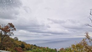 Песенная Медитация 28.10.2025