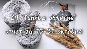 СП "Тëплые объятия" отчëт за 15-31 октября