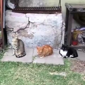 Доброе утро!😅