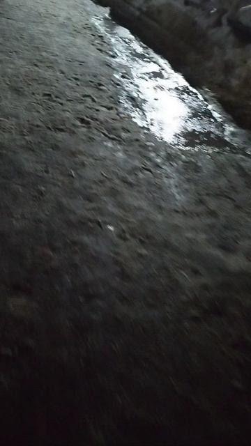 №273. Двор Сибирская 73. 15 марта 2025 г., 21:14:52. VID_20250315_211413499