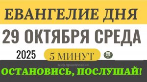 29 октября среда Евангелие дня 2025 с толкованием #евангелие (5 минут)