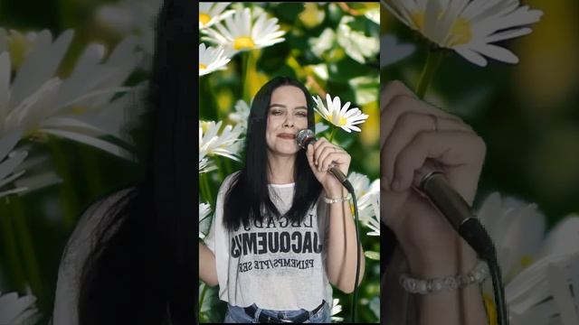 кавер на песню "Белые ромашки" Юрий Шатунов смотреть онлайн