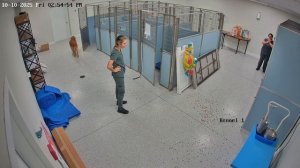 Когда завел себе друга